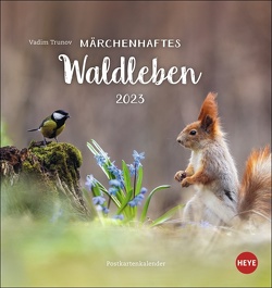 Vadim Trunov: Märchenhaftes Waldleben Postkartenkalender 2023. Der russische Tierfotograf fängt den Zauber der Wälder in einem kleinen Kalender ein. Süßer Tierkalender 2023. von Heye, Trunov,  Vadim