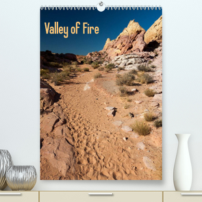 Valley of Fire (Premium, hochwertiger DIN A2 Wandkalender 2022, Kunstdruck in Hochglanz) von Friederich,  Rudolf