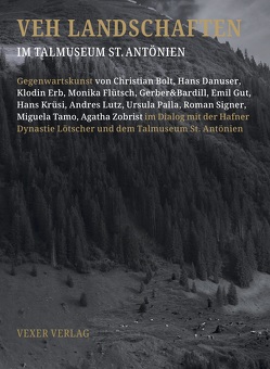 VEH LANDSCHAFTEN von Bolt,  Christian, Danuser,  Hans, Erb,  Klodin, Flütsch,  Jann, Flütsch,  Monika, Gerber,  Bardill, Gut,  Emil, Krüsi,  Hans, Lutz,  Andreas, Lutz,  Gabriela, Palla,  Ursula, Signer,  Roman, Tamo,  Miguela, Zimmermann,  Peter, Zobrist,  Agahta