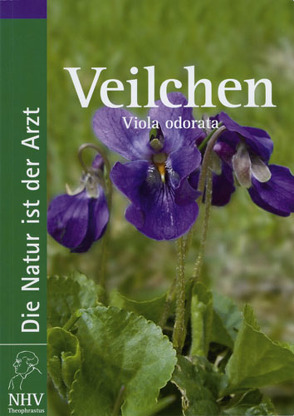 Veilchen – Viola odorata