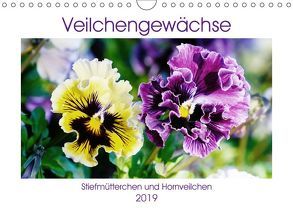 Veilchengewächse – Stiefmütterchen und Hornveilchen (Wandkalender 2019 DIN A4 quer) von Kruse,  Gisela