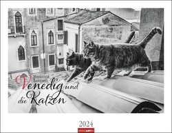 Venedig und die Katzen Kalender 2024 von Marianna Zampieri