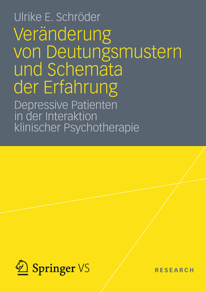 Veränderung von Deutungsmustern und Schemata der Erfahrung von Schröder,  Ulrike E.