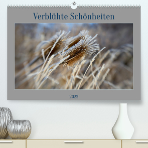 Verblühte Schönheiten (Premium, hochwertiger DIN A2 Wandkalender 2023, Kunstdruck in Hochglanz) von Spieß,  Petra