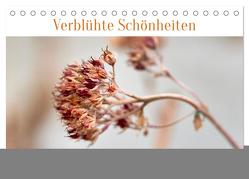 Verblühte Schönheiten (Tischkalender 2024 DIN A5 quer), CALVENDO Monatskalender von Spieß,  Petra