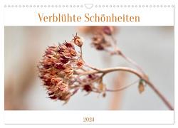 Verblühte Schönheiten (Wandkalender 2024 DIN A3 quer), CALVENDO Monatskalender von Spieß,  Petra