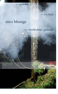 verdecktes gelände von Bleutge,  Nico