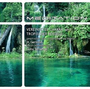 Vereinigtes Chakra und tropischer Bergsee von Teroerde,  Gaby, Trebuch,  Siegfried