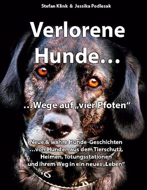 Vergessene Hunde…Wege auf vier Pfoten von Klink,  Stefan, Podlesak,  Jessika