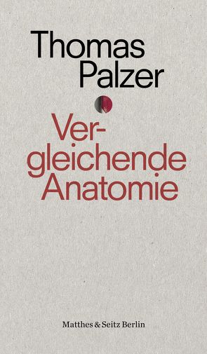 Vergleichende Anatomie von Palzer,  Thomas