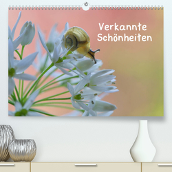Verkannte Schönheiten (Premium, hochwertiger DIN A2 Wandkalender 2023, Kunstdruck in Hochglanz) von Berger (Kabefa),  Karin