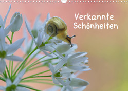 Verkannte Schönheiten (Wandkalender 2023 DIN A3 quer) von Berger (Kabefa),  Karin