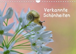 Verkannte Schönheiten (Wandkalender 2023 DIN A4 quer) von Berger (Kabefa),  Karin