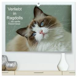 Verliebt in Ragdolls … die sanfte Katzenrasse (hochwertiger Premium Wandkalender 2024 DIN A2 quer), Kunstdruck in Hochglanz von Reiß-Seibert,  Marion