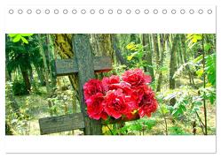Versöhnung über Gräbern – Der Waldfriedhof in Rossitten (Tischkalender 2024 DIN A5 quer), CALVENDO Monatskalender von von Loewis of Menar,  Henning