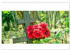 Versöhnung über Gräbern – Der Waldfriedhof in Rossitten (Wandkalender 2024 DIN A3 quer), CALVENDO Monatskalender von von Loewis of Menar,  Henning