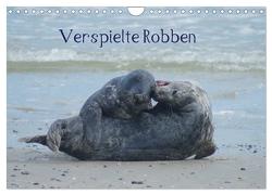 Verspielte Robben (Wandkalender 2024 DIN A4 quer), CALVENDO Monatskalender von Kattobello,  Kattobello