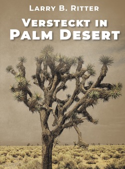 Versteckt in Palm Desert von Ritter,  Larry B.