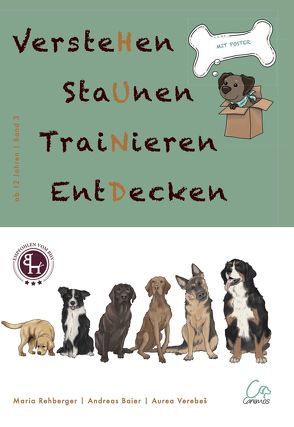 VersteHen,StaUnen,TraiNieren,EntDecken von Baier,  Andreas, Rehberger,  Maria, Verebes,  Aurea