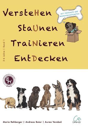 VersteHen,StaUnen,TraiNieren,EntDecken von Baier,  Andreas, Rehberger,  Maria, Verebes,  Aurea