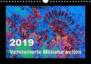 Versteinerte Miniaturwelten – Farbenspiele auf Solnhofener Plattenkalk (Wandkalender 2019 DIN A4 quer) von Leitner,  Dietmar
