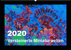 Versteinerte Miniaturwelten – Farbenspiele auf Solnhofener Plattenkalk (Wandkalender 2020 DIN A2 quer) von Leitner,  Dietmar