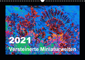 Versteinerte Miniaturwelten – Farbenspiele auf Solnhofener Plattenkalk (Wandkalender 2021 DIN A3 quer) von Leitner,  Dietmar