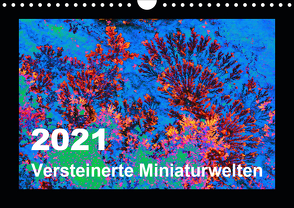 Versteinerte Miniaturwelten – Farbenspiele auf Solnhofener Plattenkalk (Wandkalender 2021 DIN A4 quer) von Leitner,  Dietmar