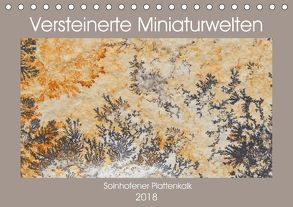 Versteinerte Miniaturwelten. Solnhofener Plattenkalk (Tischkalender 2018 DIN A5 quer) von Leitner,  Dietmar