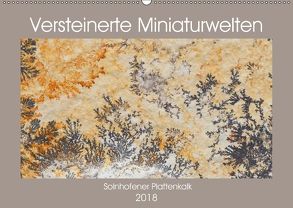 Versteinerte Miniaturwelten. Solnhofener Plattenkalk (Wandkalender 2018 DIN A2 quer) von Leitner,  Dietmar