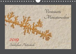 Versteinerte Miniaturwelten. Solnhofener Plattenkalk (Wandkalender 2019 DIN A4 quer) von Leitner,  Dietmar