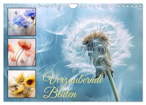 Verzaubernde Blüten (Wandkalender 2024 DIN A4 quer), CALVENDO Monatskalender von Illgen,  Cathrin