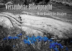 Verzauberte Blütenpracht – Wilde Blumen der Ostalpen (Posterbuch DIN A2 quer) von Dr. Günter Zöhrer,  ©