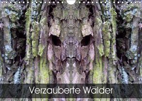 Verzauberte WälderAT-Version (Wandkalender 2019 DIN A4 quer) von Schlüfter,  Elken