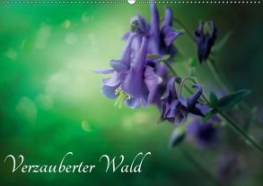 Verzauberter Wald (Wandkalender 2019 DIN A2 quer) von Wunderlich,  Simone