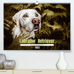 Verzauberung Labrador Retriever 2023 (Premium, hochwertiger DIN A2 Wandkalender 2023, Kunstdruck in Hochglanz) von Saskia Katharina Siebel,  Sensiebelfotografie