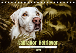 Verzauberung Labrador Retriever 2023 (Tischkalender 2023 DIN A5 quer) von Saskia Katharina Siebel,  Sensiebelfotografie