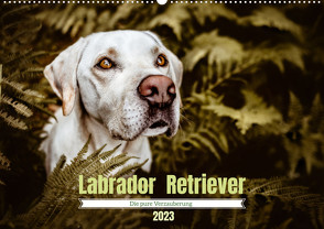 Verzauberung Labrador Retriever 2023 (Wandkalender 2023 DIN A2 quer) von Saskia Katharina Siebel,  Sensiebelfotografie