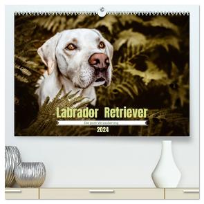 Verzauberung Labrador Retriever 2024 (hochwertiger Premium Wandkalender 2024 DIN A2 quer), Kunstdruck in Hochglanz von Saskia Katharina Siebel,  Sensiebelfotografie