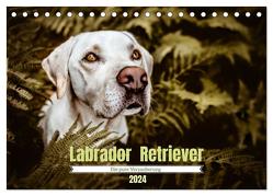 Verzauberung Labrador Retriever 2024 (Tischkalender 2024 DIN A5 quer), CALVENDO Monatskalender von Saskia Katharina Siebel,  Sensiebelfotografie