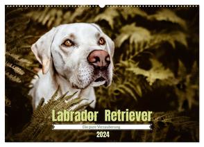 Verzauberung Labrador Retriever 2024 (Wandkalender 2024 DIN A2 quer), CALVENDO Monatskalender von Saskia Katharina Siebel,  Sensiebelfotografie