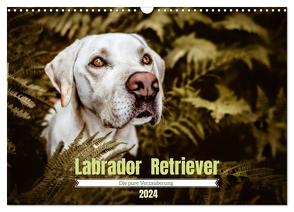 Verzauberung Labrador Retriever 2024 (Wandkalender 2024 DIN A3 quer), CALVENDO Monatskalender von Saskia Katharina Siebel,  Sensiebelfotografie