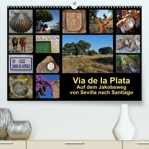 Via de la Plata – auf dem Jakobsweg von Sevilla nach Santiago (Premium, hochwertiger DIN A2 Wandkalender 2023, Kunstdruck in Hochglanz) von B.,  Rina