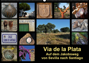 Via de la Plata – auf dem Jakobsweg von Sevilla nach Santiago (Wandkalender 2021 DIN A2 quer) von B.,  Rina