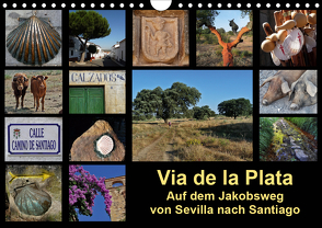 Via de la Plata – auf dem Jakobsweg von Sevilla nach Santiago (Wandkalender 2021 DIN A4 quer) von B.,  Rina
