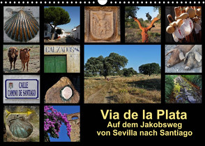 Via de la Plata – auf dem Jakobsweg von Sevilla nach Santiago (Wandkalender 2022 DIN A3 quer) von B.,  Rina