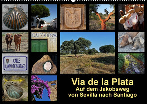 Via de la Plata – auf dem Jakobsweg von Sevilla nach Santiago (Wandkalender 2023 DIN A2 quer) von B.,  Rina