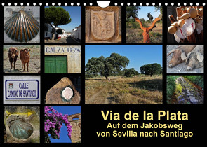 Via de la Plata – auf dem Jakobsweg von Sevilla nach Santiago (Wandkalender 2023 DIN A4 quer) von B.,  Rina