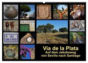 Via de la Plata – auf dem Jakobsweg von Sevilla nach Santiago (Wandkalender 2024 DIN A2 quer), CALVENDO Monatskalender von B.,  Rina