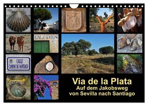 Via de la Plata – auf dem Jakobsweg von Sevilla nach Santiago (Wandkalender 2024 DIN A4 quer), CALVENDO Monatskalender von B.,  Rina